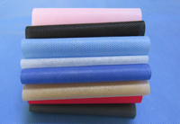 湛江涤纶（PET）无纺布是什么